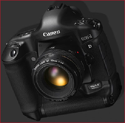 Canon EOS1D Mark II Fast Tough and Beautiful