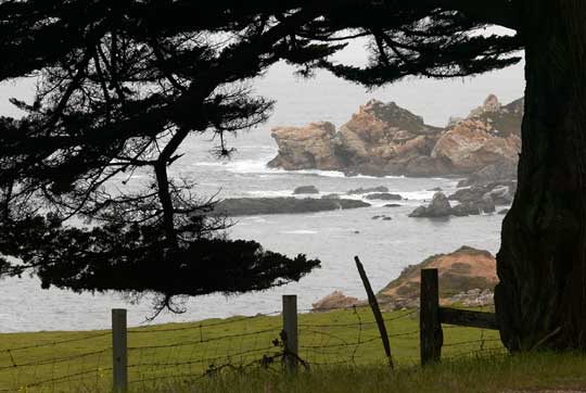 Surf & Turf. Big Sur California