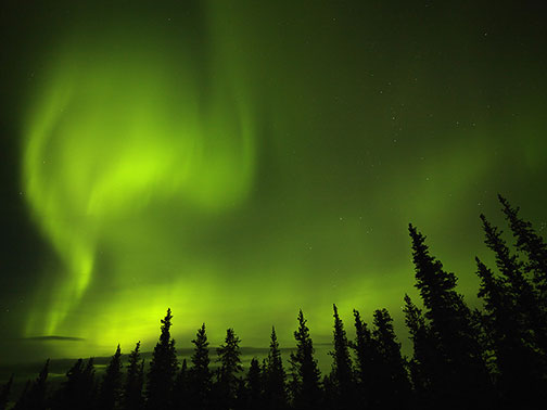 Fall On The Denali Highway