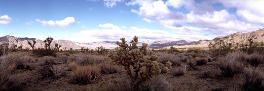 Geology Trail