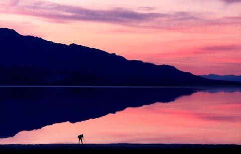 Photographer At Badwater 