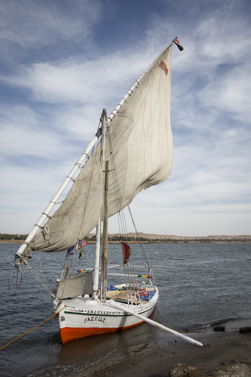 Feluca Near Aqaba