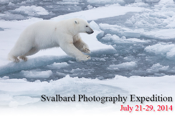 Svalbard 2014 Svalbard 2014