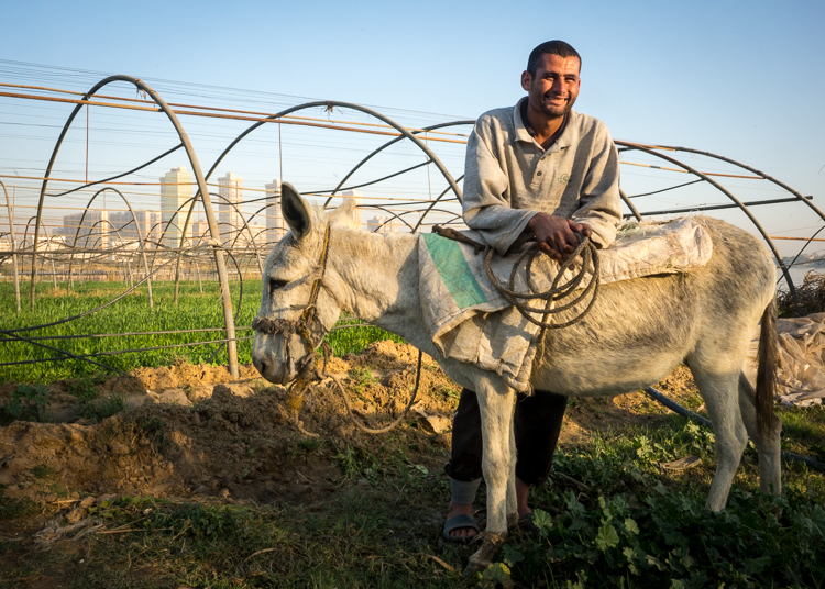Shaben on Golden Island Shaben on Golden Island